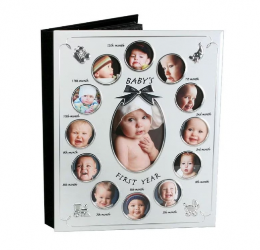 Album foto, cu rama pe coperta, WIDDOP AND CO., argintiu, pentru bebelusi "My First Year"  (LIVRARE 15 ZILE)