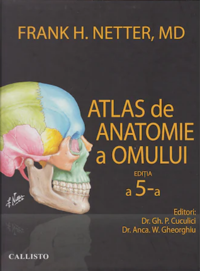 Atlas de anatomie a omului Netter (editia a 5-a) (LIVRARE: 15 ZILE)
