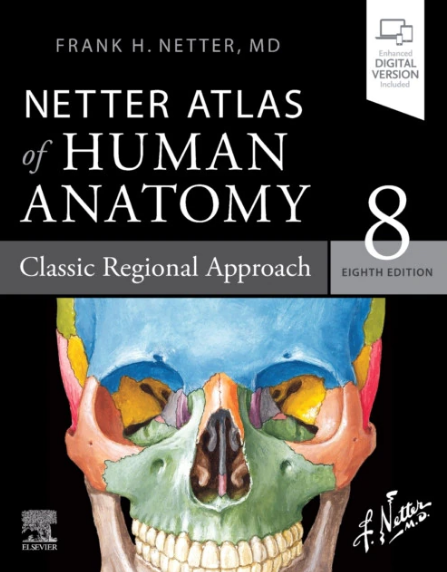 Atlas Netter editia 8 - 2022, Netter Atlas of Human Anatomy: Classic Regional Approach (LIVRARE: 15 ZILE)