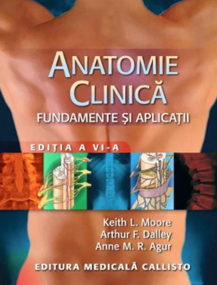 Anatomie clinica - Fundamente si aplicatii (LIVRARE: 15 ZILE)