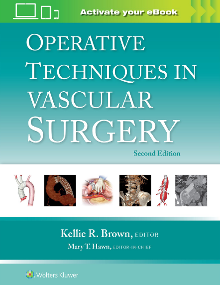 Operative Techniques in Vascular Surgery (LIVRARE: 15 ZILE) 